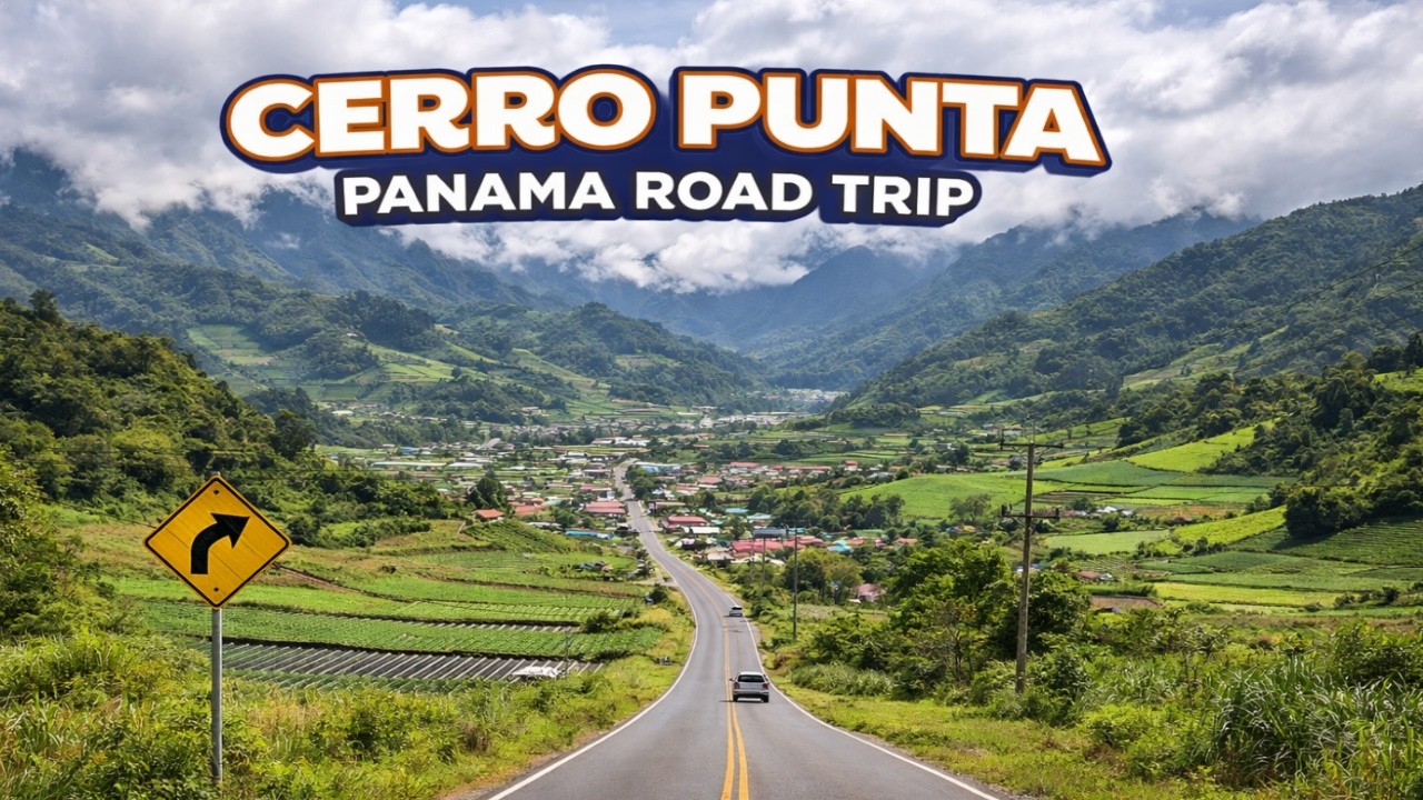 Llantero cerro punta