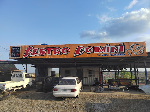 LLANTAS DOMINI INC