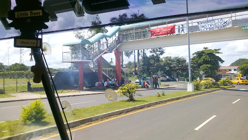 Terminal de buses Soná - Santiago