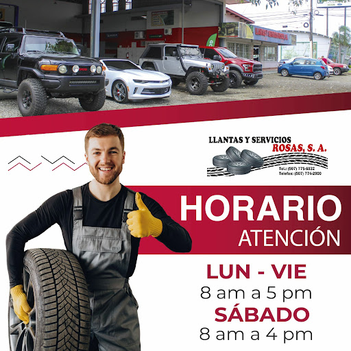 Llantas y Servicios Rosas, S.A.