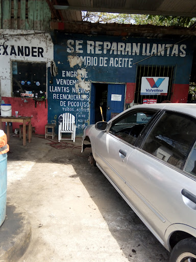 Taller Alexander