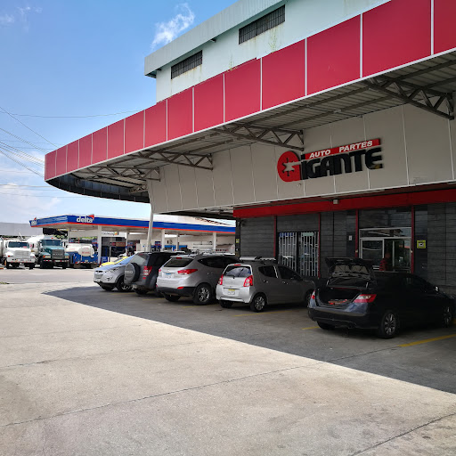 Auto Partes Gigante