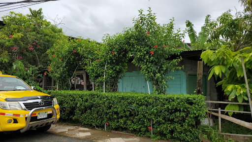 Llanteria Saigón